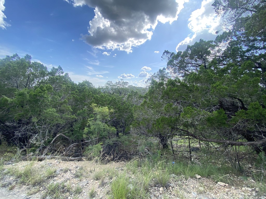 0 Catclaw Concan, TX 78838 - Photo 6 of 28