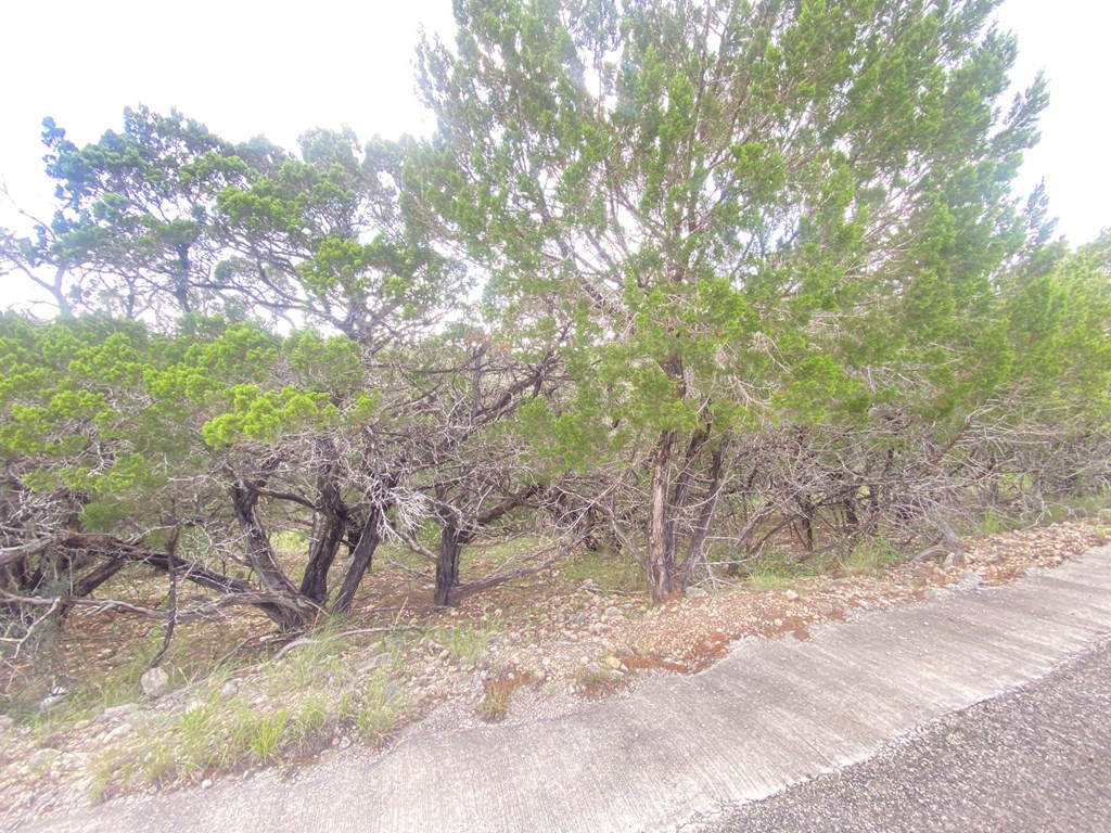 0 Catclaw Concan, TX 78838 - Photo 9 of 28