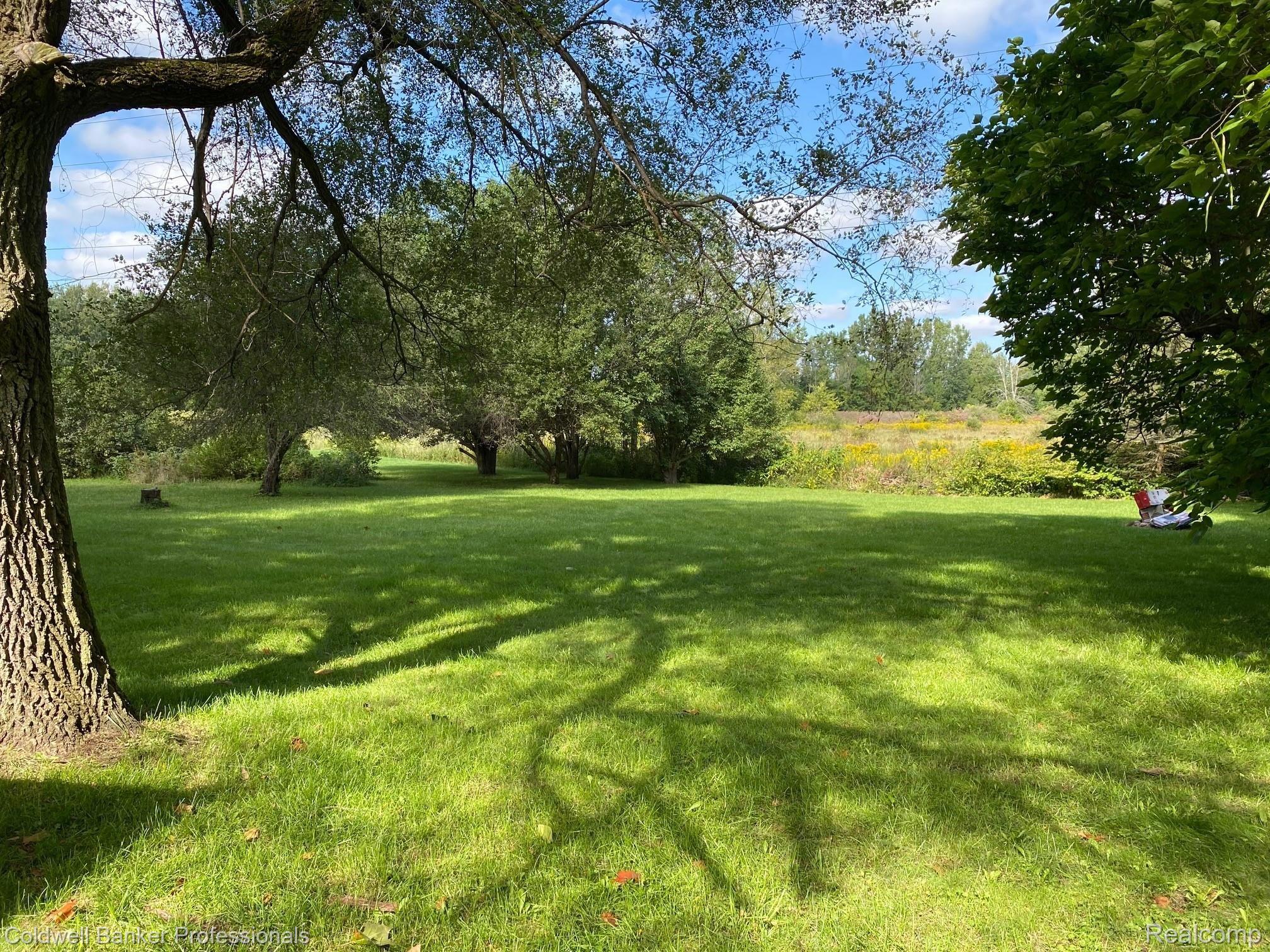 11645 Lansing Road Durand, MI 48429 - Photo 16 of 17 15 11645 yard.jpg