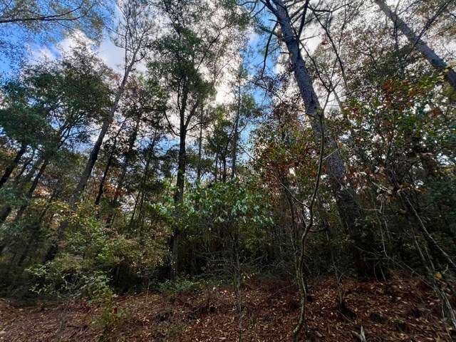 Undisclosed Address Headland, AL 36345 - Photo 23 of 36
