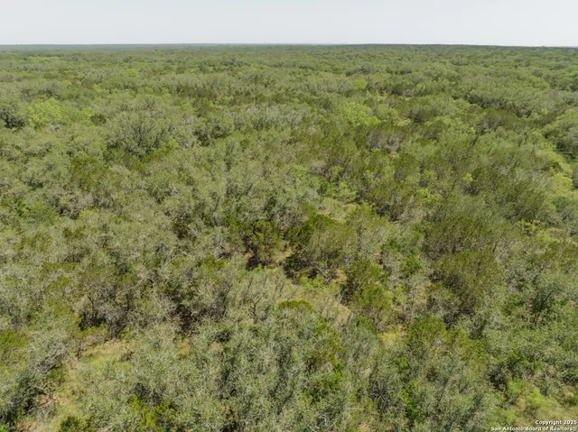 $224,510 | Lot 47 Antler Forest, D'Hanis, TX 78850