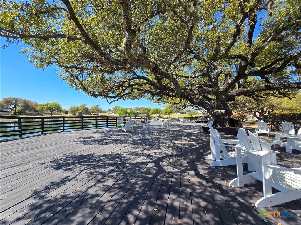 0 Hiram Cook Blanco, TX 78606 - Photo 14 of 18 a view of yard