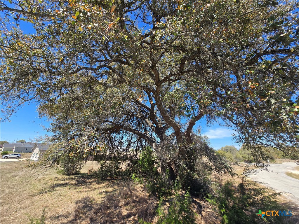 0 Hiram Cook Blanco, TX 78606 - Photo 3 of 18