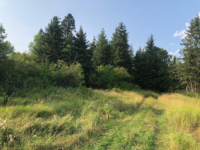 35 County Road Deer River, MN 56636 - Photo 1 of 1 Gallery Image 1
