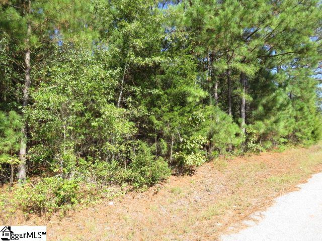 Mcneely Road Liberty, SC 29657 - Photo 2 of 3