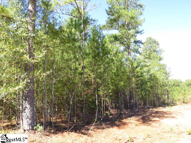 Mcneely Road Liberty, SC 29657 - Photo 3 of 3