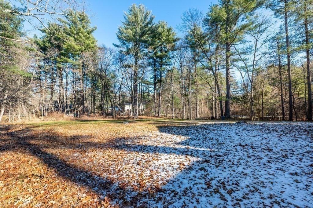 250 Hudson Road Sudbury, MA 01776 - Photo 17 of 19 a view of yard with trees