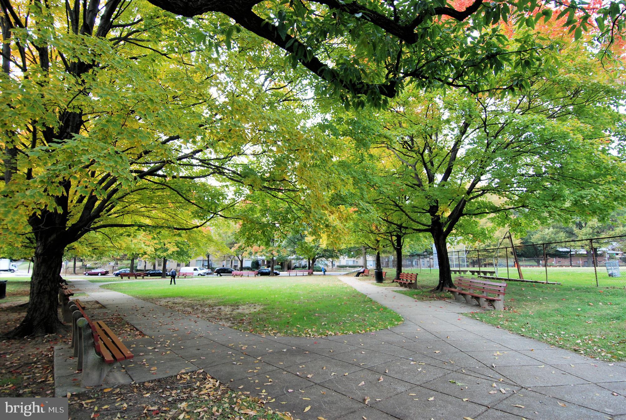 1373 Tuckerman Street Northwest Washington, DC 20011 - Photo 27 of 27 a view of a park with large trees