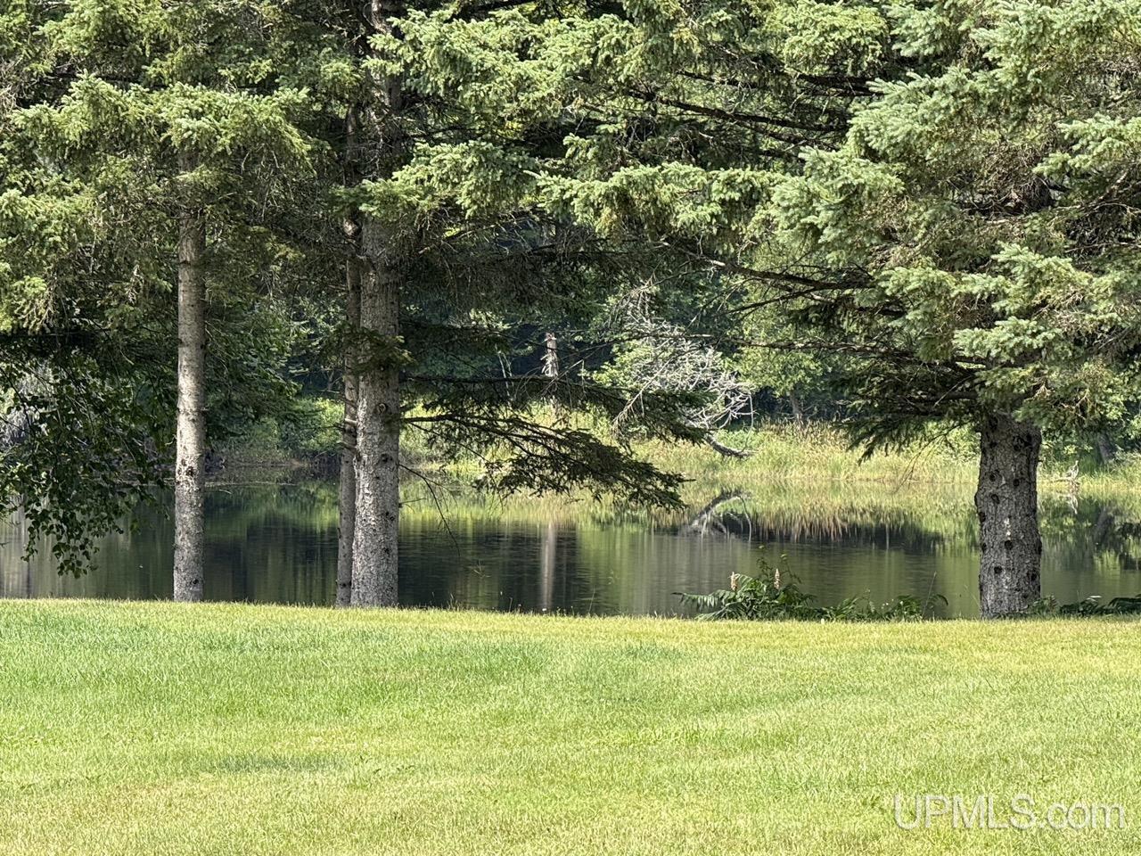 N13515 Newberg Road Channing, MI 49815 - Photo 2 of 51