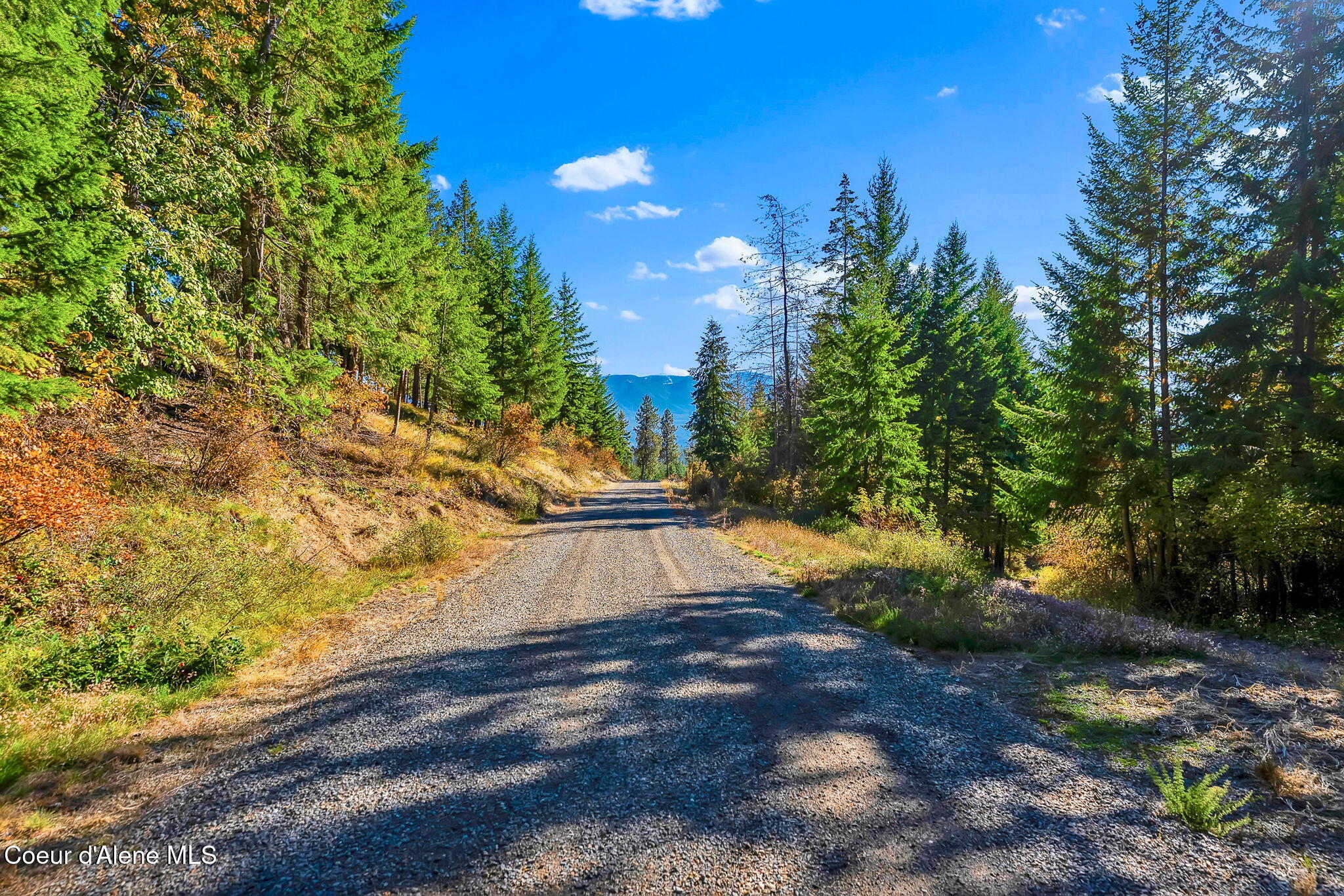 799 Grouse Hill Road Bonners Ferry, ID 83805 - Photo 94 of 115 93-web-or-mls-SkyLight - Jenny-52