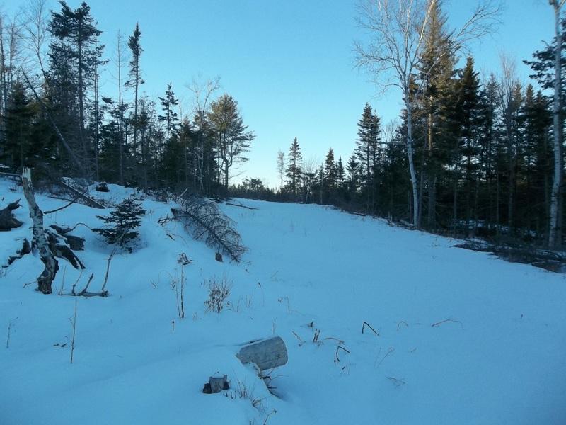 M5-l33 Sherman Road Robbinston, ME 04671 - Photo 8 of 11 100_8148