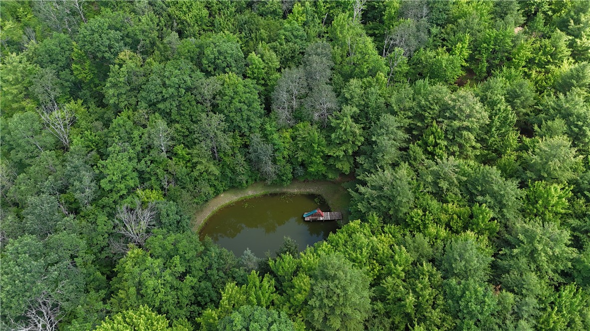 1667 Coon Hollow Road Orange, NY 14812 - Photo 27 of 41 Pond aerial