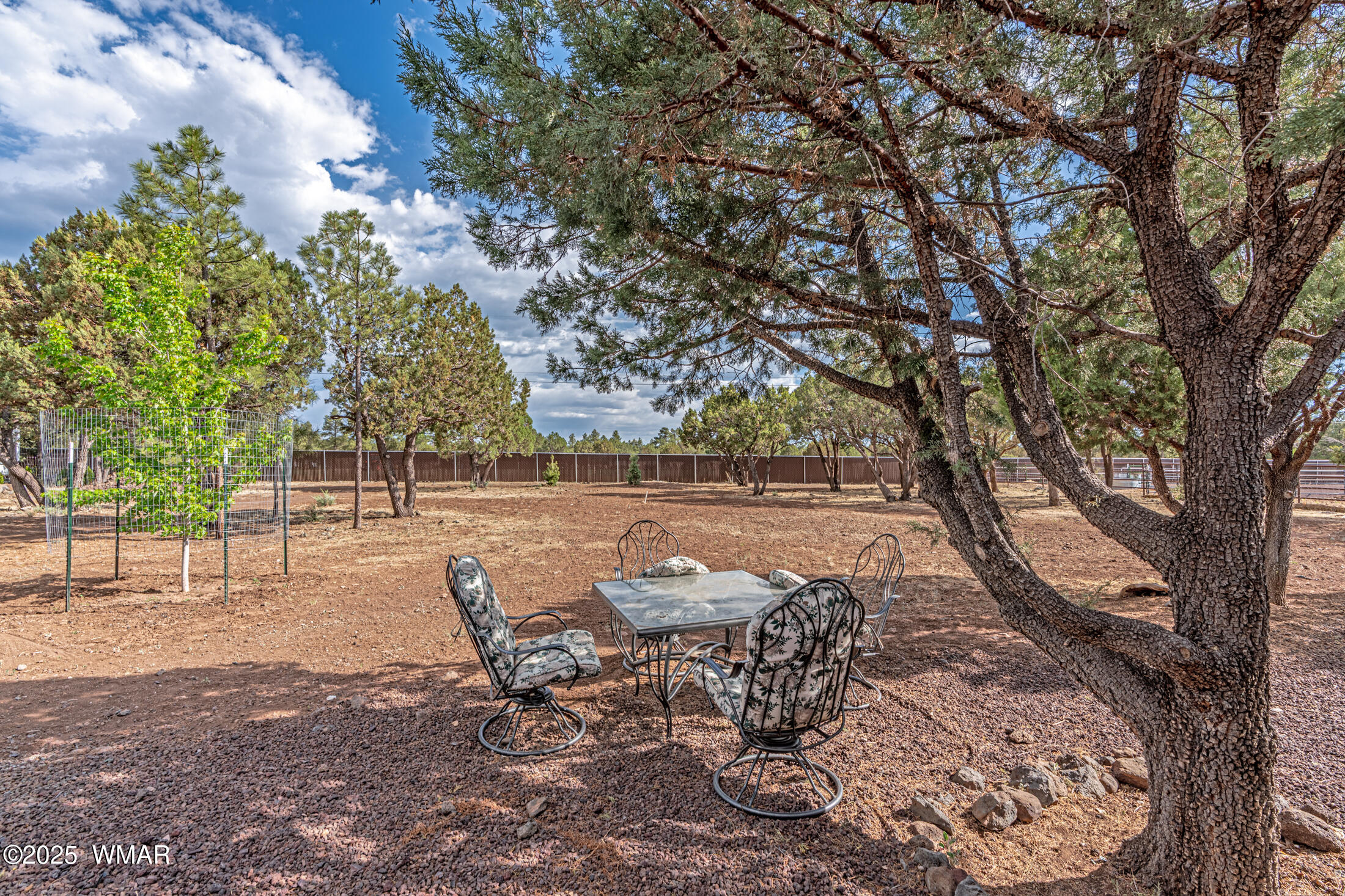 703 Backwoods Trail Lakeside, AZ 85929 - Photo 27 of 31 backyard view from house