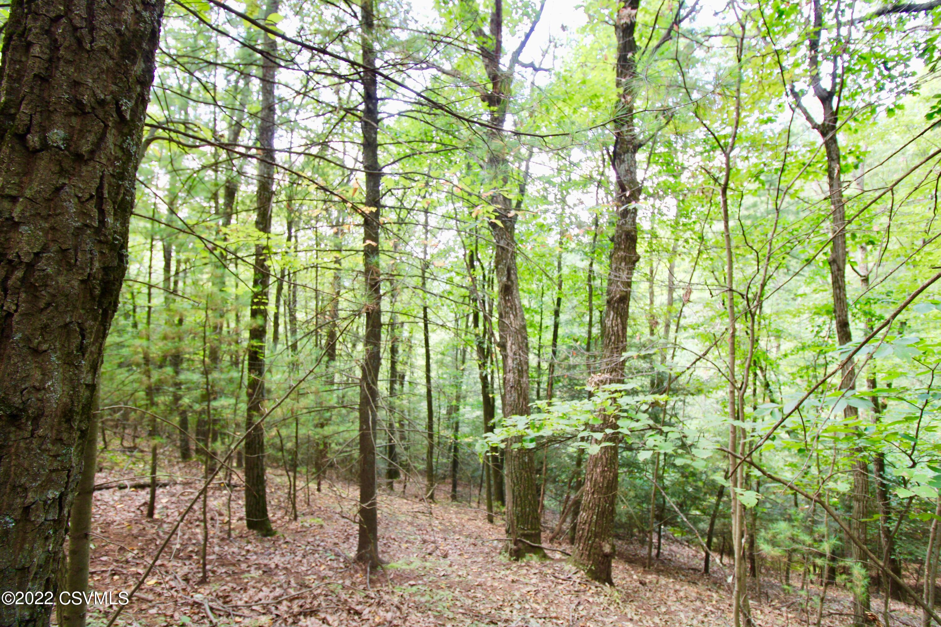 Hill Road Millville, PA 17846 - Photo 3 of 11