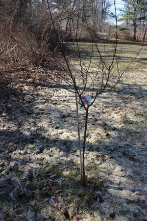 $225,000 | 247 South Belfast Avenue, Augusta, ME 04330