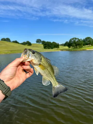 $849,000 | 19055 Del Mar Drive, Cottonwood, CA 96022