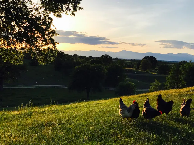 $849,000 | 19055 Del Mar Drive, Cottonwood, CA 96022