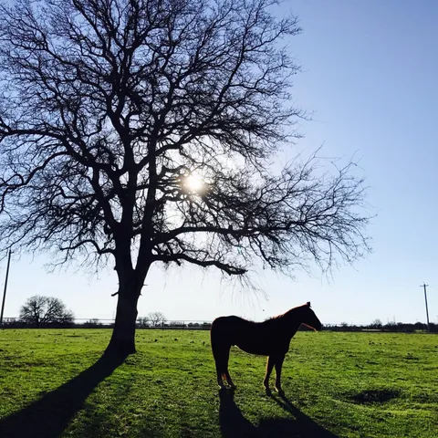 $849,000 | 19055 Del Mar Drive, Cottonwood, CA 96022