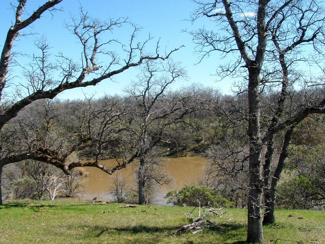 View of Neighbors pond.