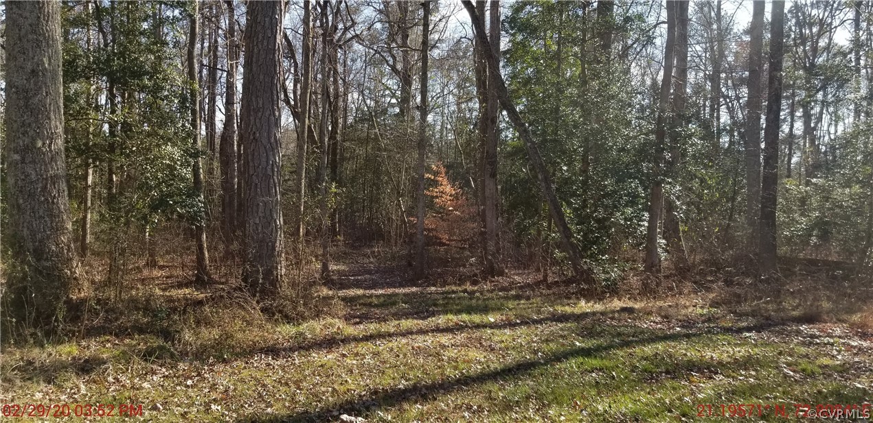 15511 Chieftain Road Disputanta, VA 23842 - Photo 6 of 10 Gallery Image 6