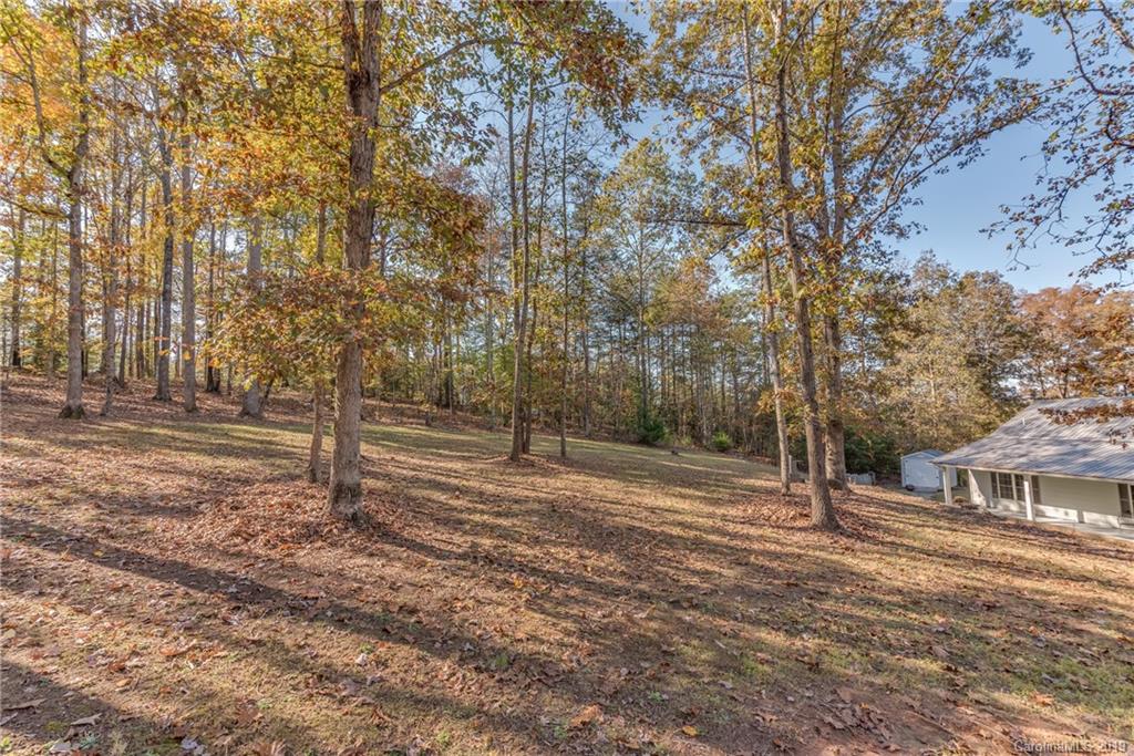 1020 Mountain Creek Road Rutherfordton, NC 28139 - Photo 16 of 48 a view of a yard with plants and trees