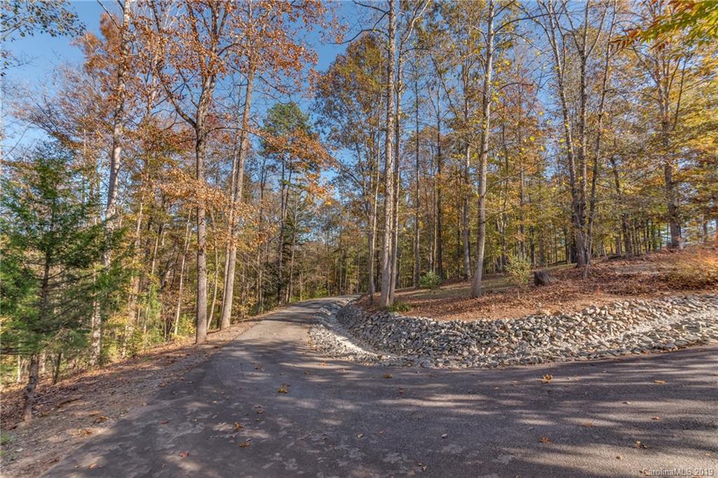 1020 Mountain Creek Road Rutherfordton, NC 28139 - Photo 47 of 48 a view of a yard with a tree