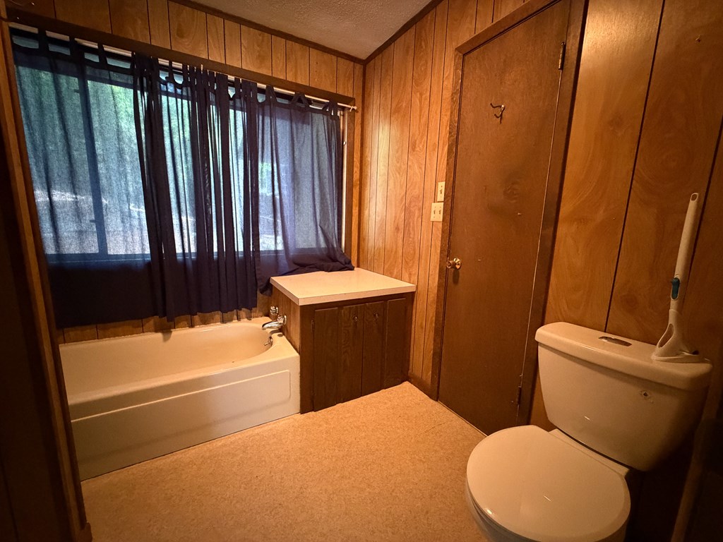 1253 Tipton Springs Road Morganton, GA 30560 - Photo 40 of 48