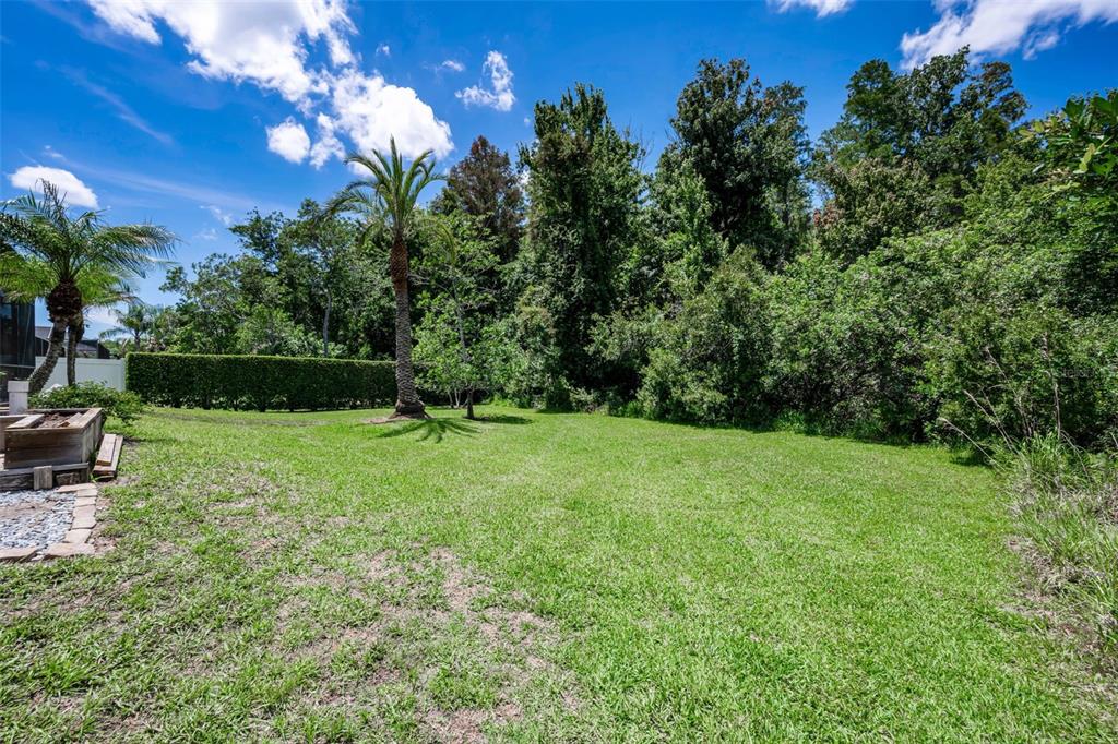 16207 Rambling Road Odessa, FL 33556 - Photo 52 of 76