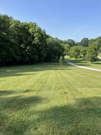 a view of a big yard with a large trees