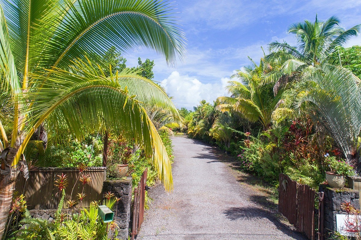 15-993 Lemiwai Road Keaau, HI 96749 - Photo 3 of 25 Gallery Image 3