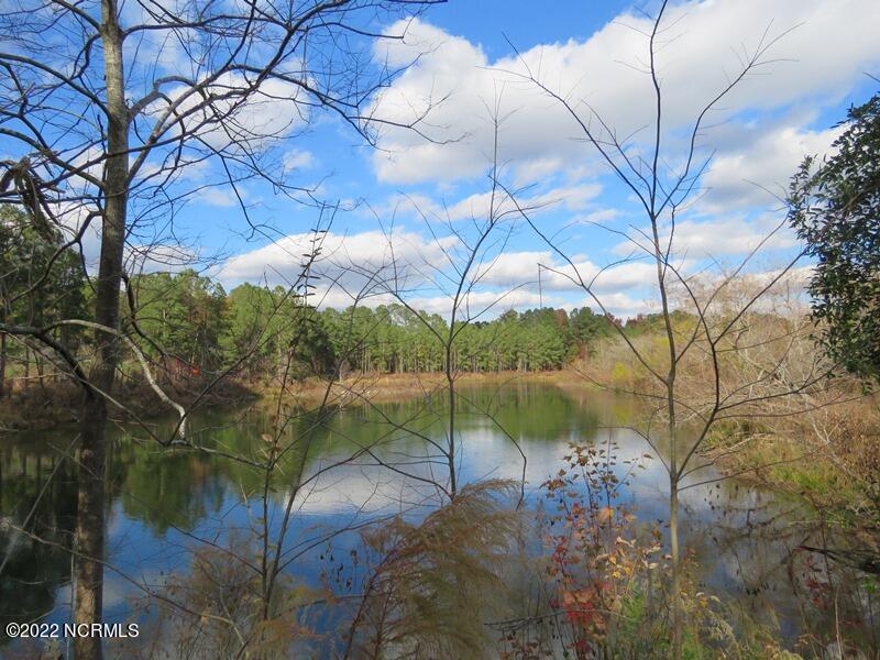 0 Lovette Road Lumberton, NC 28358 - Photo 36 of 39 IMG_6315