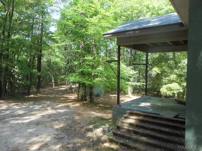 1264 Roaring Road Hartford, AL 36344 - Photo 8 of 31 Gallery Image 8