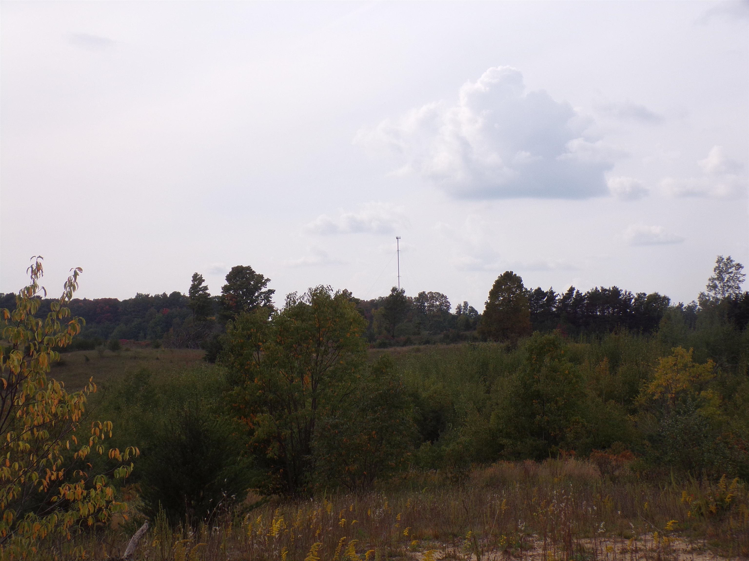 0 45th Road Manton, MI 49663 - Photo 8 of 8