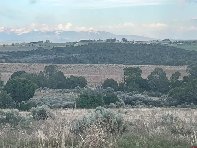 a view of a lake in middle of the forest