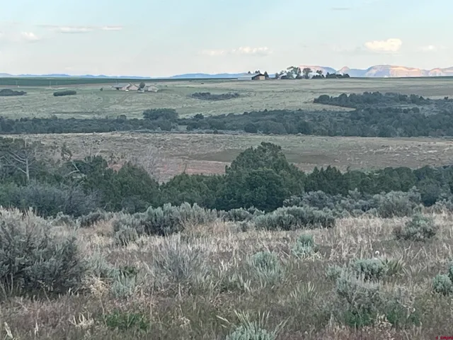 a view of an ocean and beach