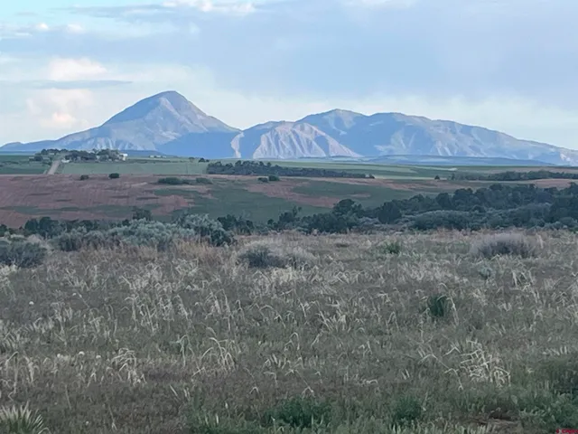a view of a yard with a barn