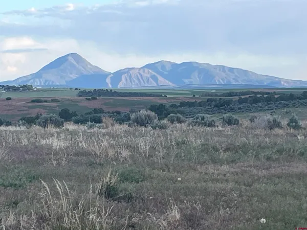 a view of outdoor space and a yard