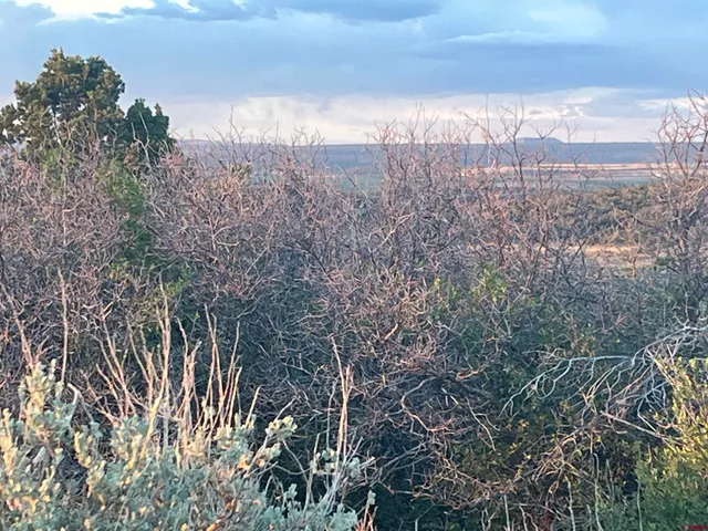 a view of a yard with an outdoor space