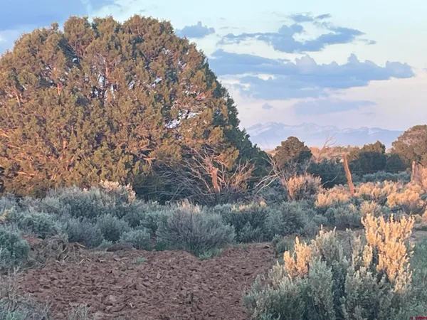 $520,000 | 23755 County Road 15.5, Yellow Jacket, CO 81335