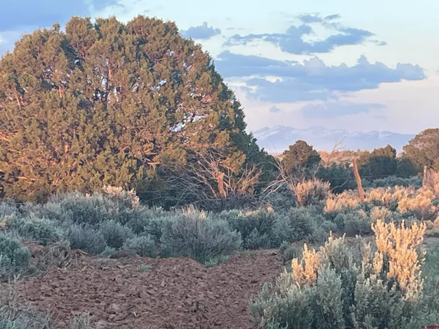 $520,000 | 23755 County Road 15.5, Yellow Jacket, CO 81335