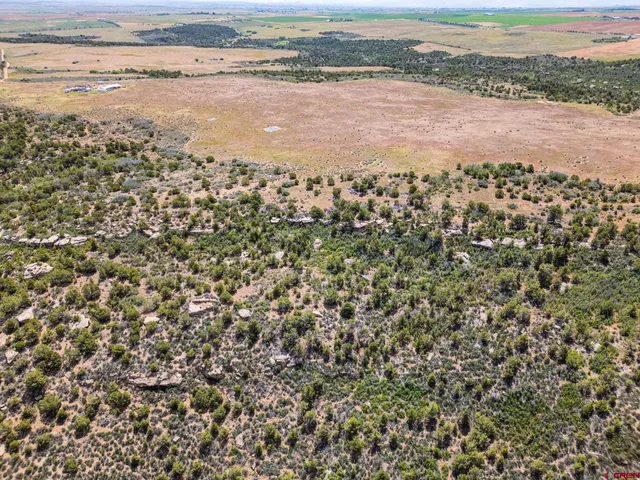 view of city and ocean