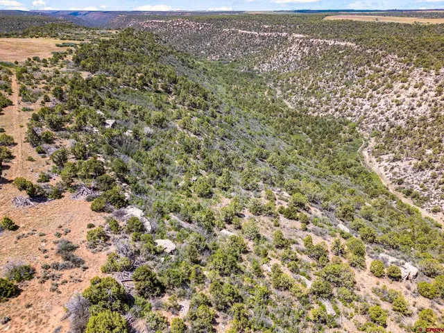 a view of city and mountain