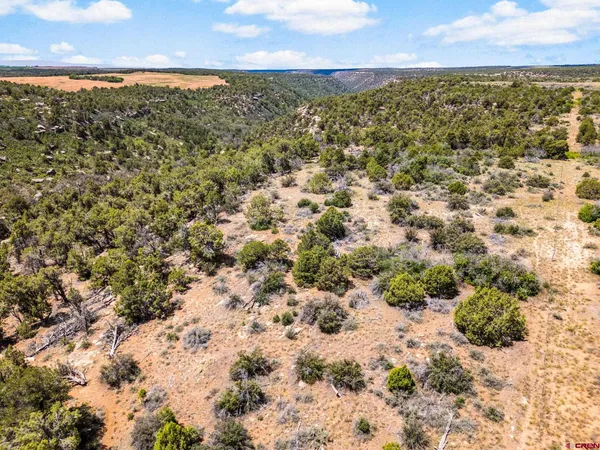 a view of a city with an ocean
