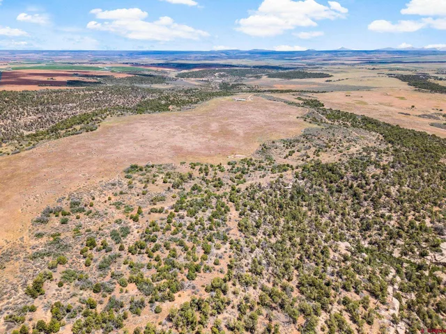 a view of an ocean and beach