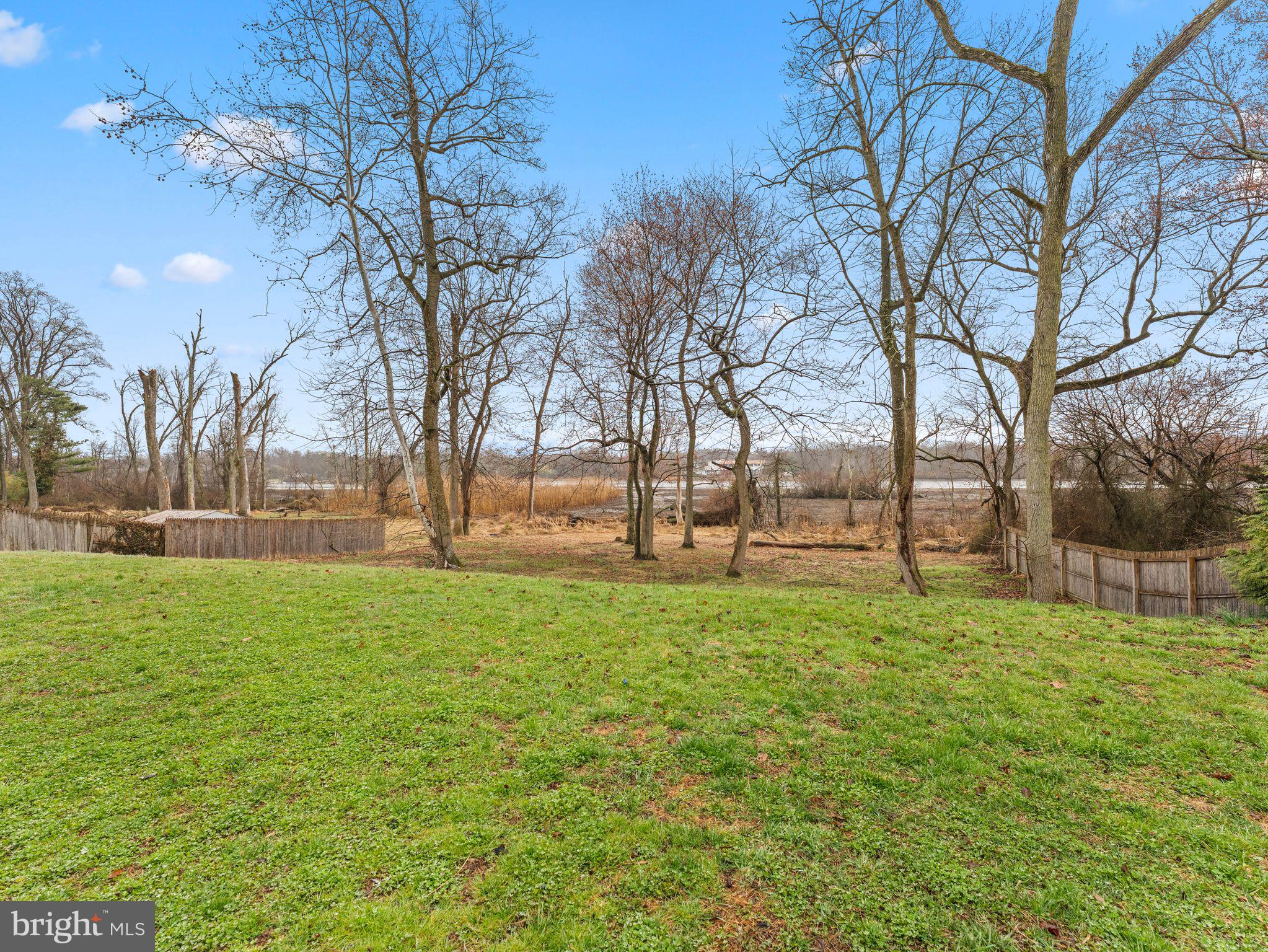 50 Tweedstone Lane Willingboro, NJ 08046 - Photo 39 of 45 a view of yard with tree s