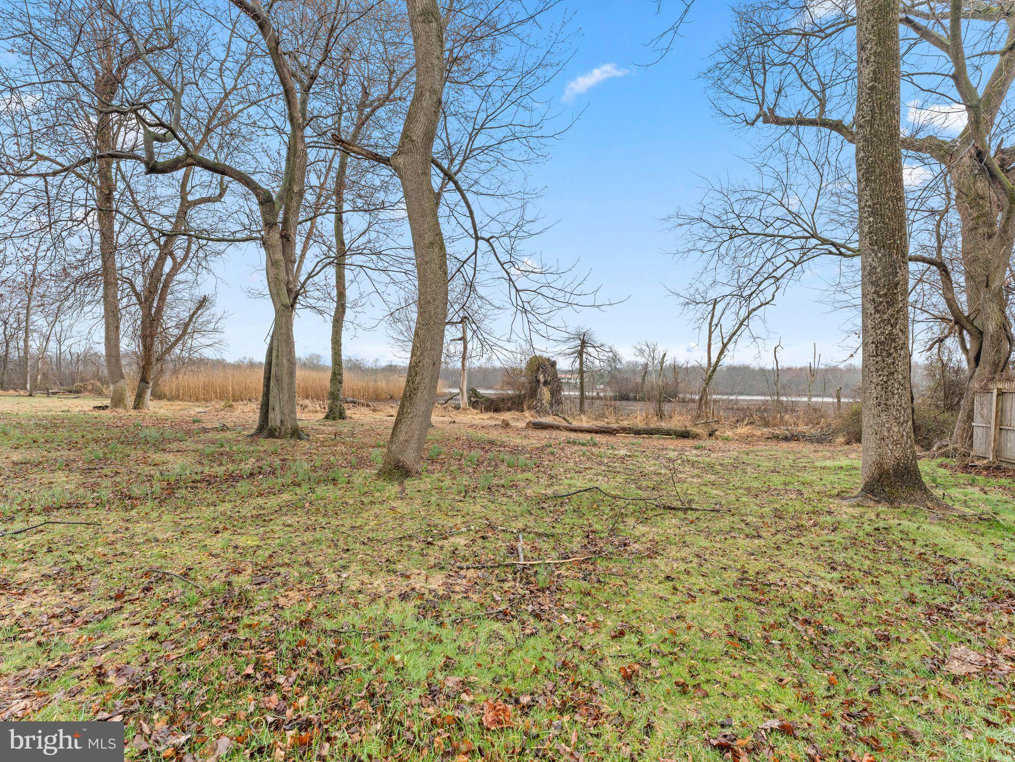 50 Tweedstone Lane Willingboro, NJ 08046 - Photo 41 of 45 a view of open space with green space