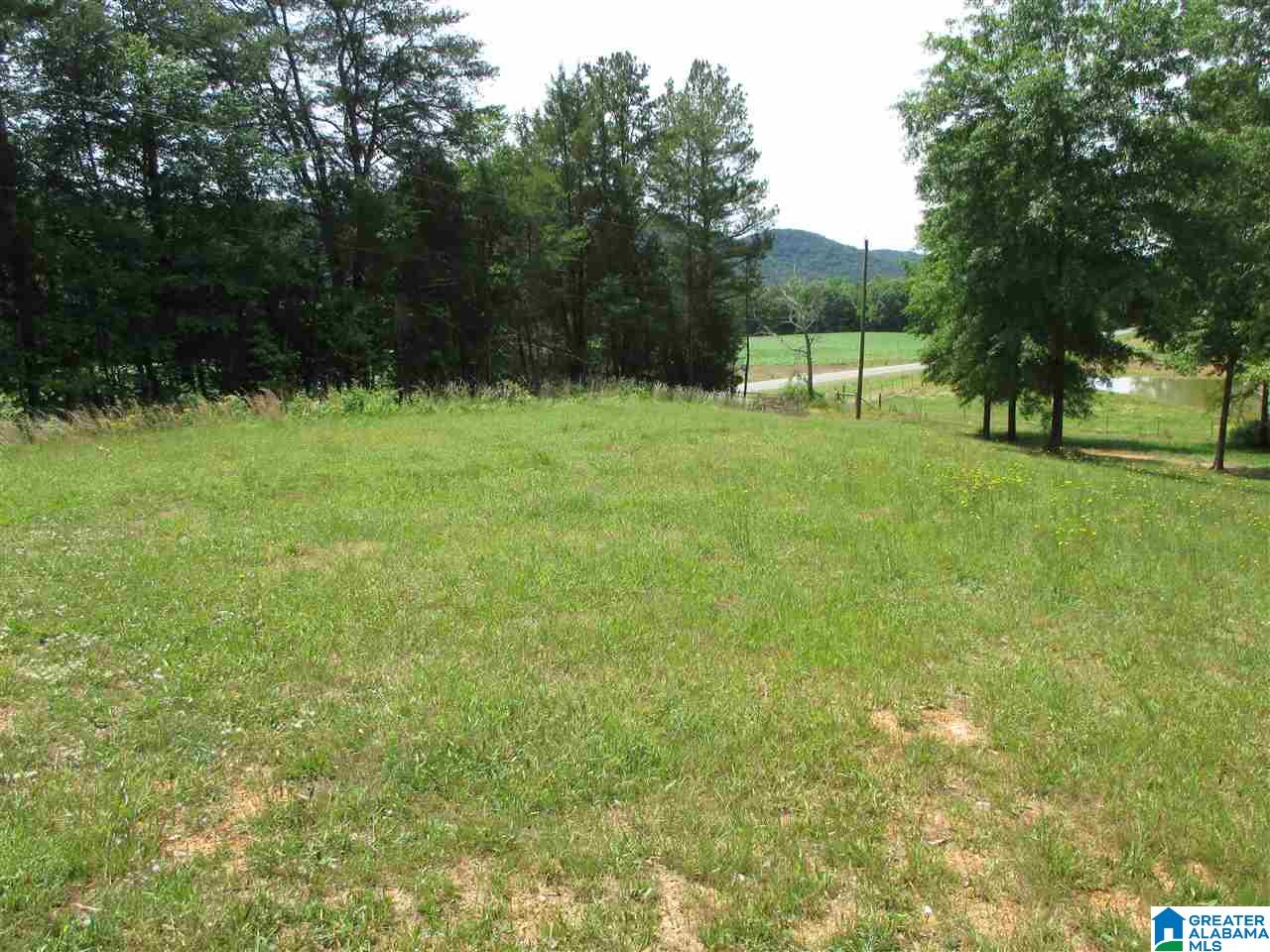 14741 Duck Springs Road Attalla, AL 35954 - Photo 2 of 41
