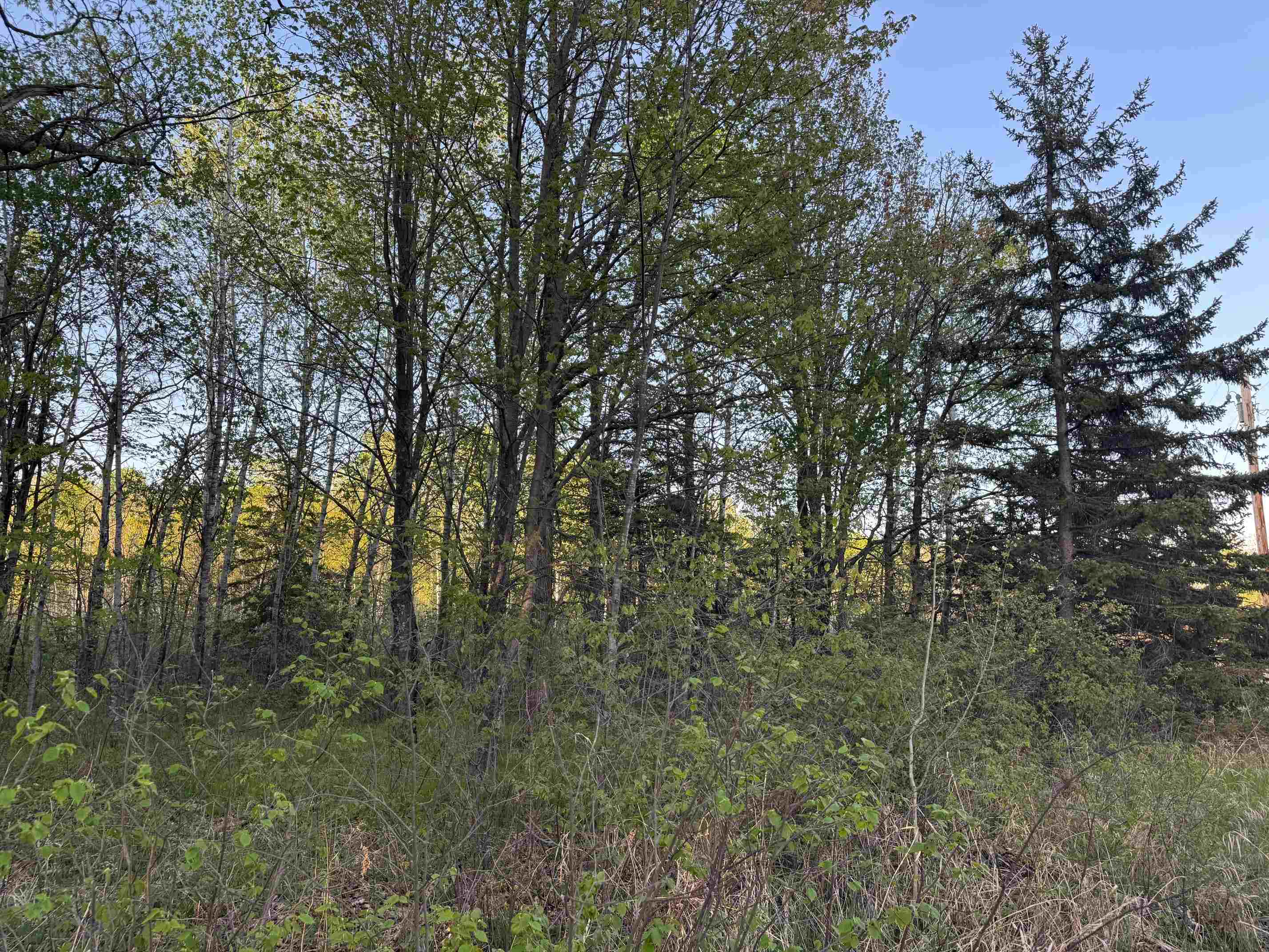 Tbd 180th Lane McGrath, MN 56350 - Photo 5 of 8