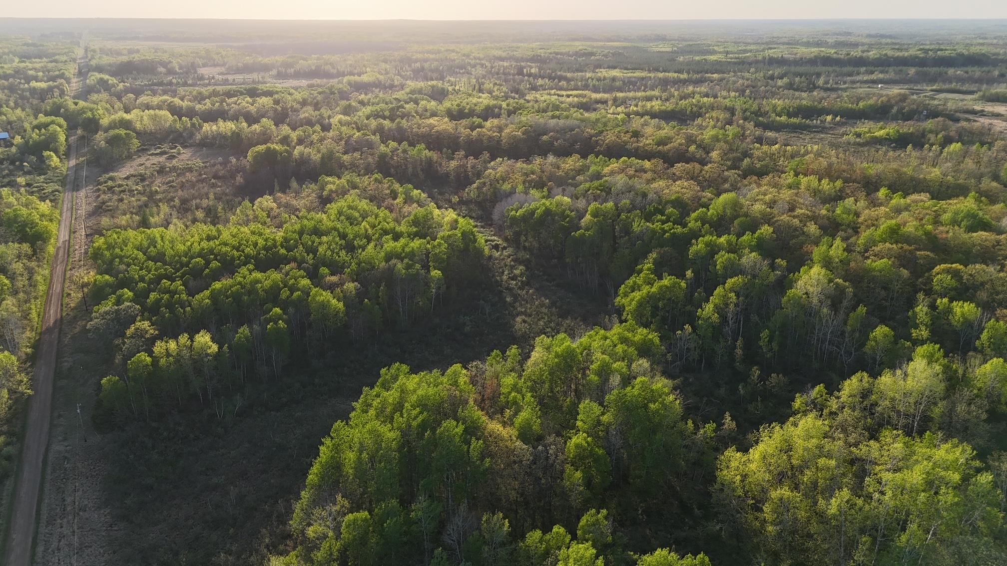 Tbd 180th Lane McGrath, MN 56350 - Photo 8 of 8
