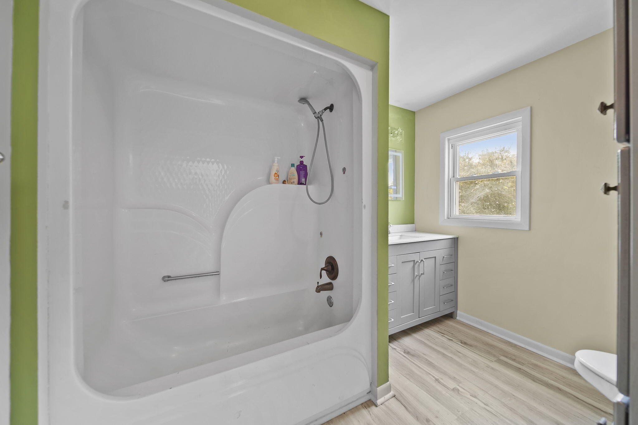 1251 East Monroe Road Tecumseh, MI 49286 - Photo 6 of 18 19-web-or-mls-DSC07147